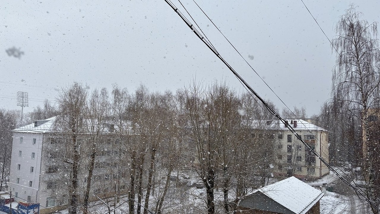 Главная картинка новости: Тепло до марта и минус 40 по всей стране: синоптики обещают экстремальную зиму 2024-2025