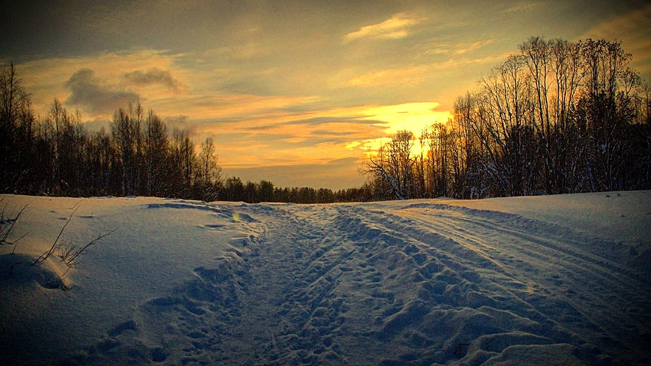 Главная картинка новости: В Усинске восстановили мостики на «Тропе здоровья»