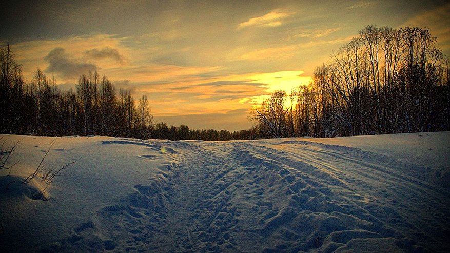 Главная картинка новости: В Усинске восстановили мостики на «Тропе здоровья»