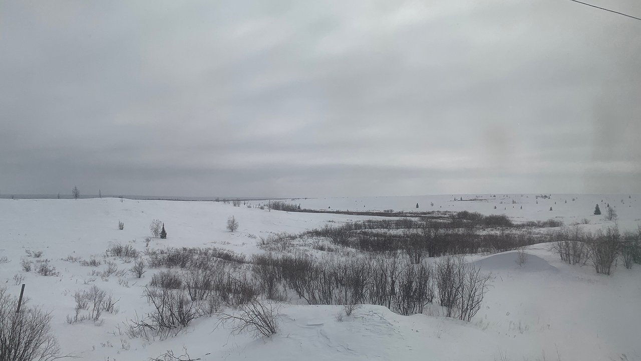 Главная картинка новости: Тепло до марта и минус 40 по всей стране: синоптики обещают экстремальную зиму, какой еще не бывало