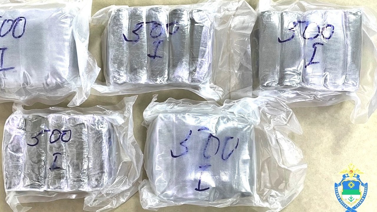 Главная картинка новости: В Коми сотрудники полиции нашли три килограмма гашиша