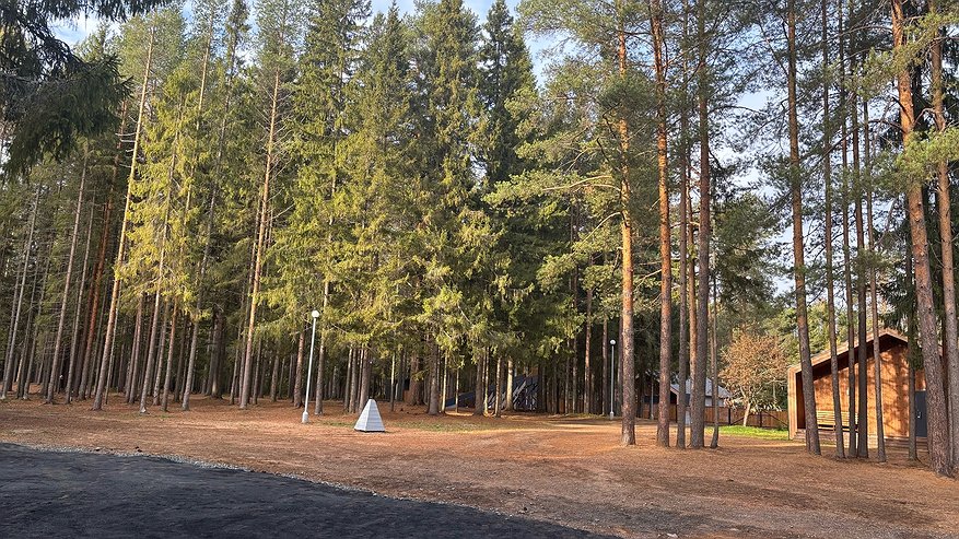 Главная картинка новости: Объем экспорта древесины из Коми достиг 1,45 миллиона кубометров за 11 месяцев