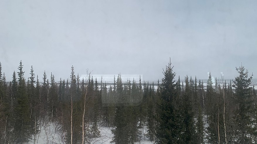 Главная картинка новости: Синоптики рассказали, какой будет погода в Усинске и Коми 9 декабря