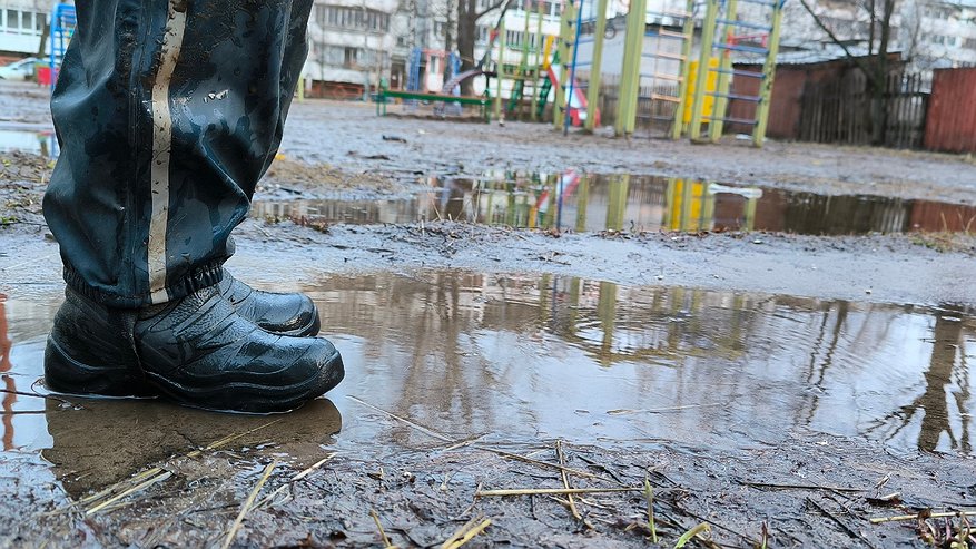 Главная картинка новости: Молочно-мясной завод В Коми не смог за пять лет привести качество сбрасываемых в ручей сточных вод к нормативам