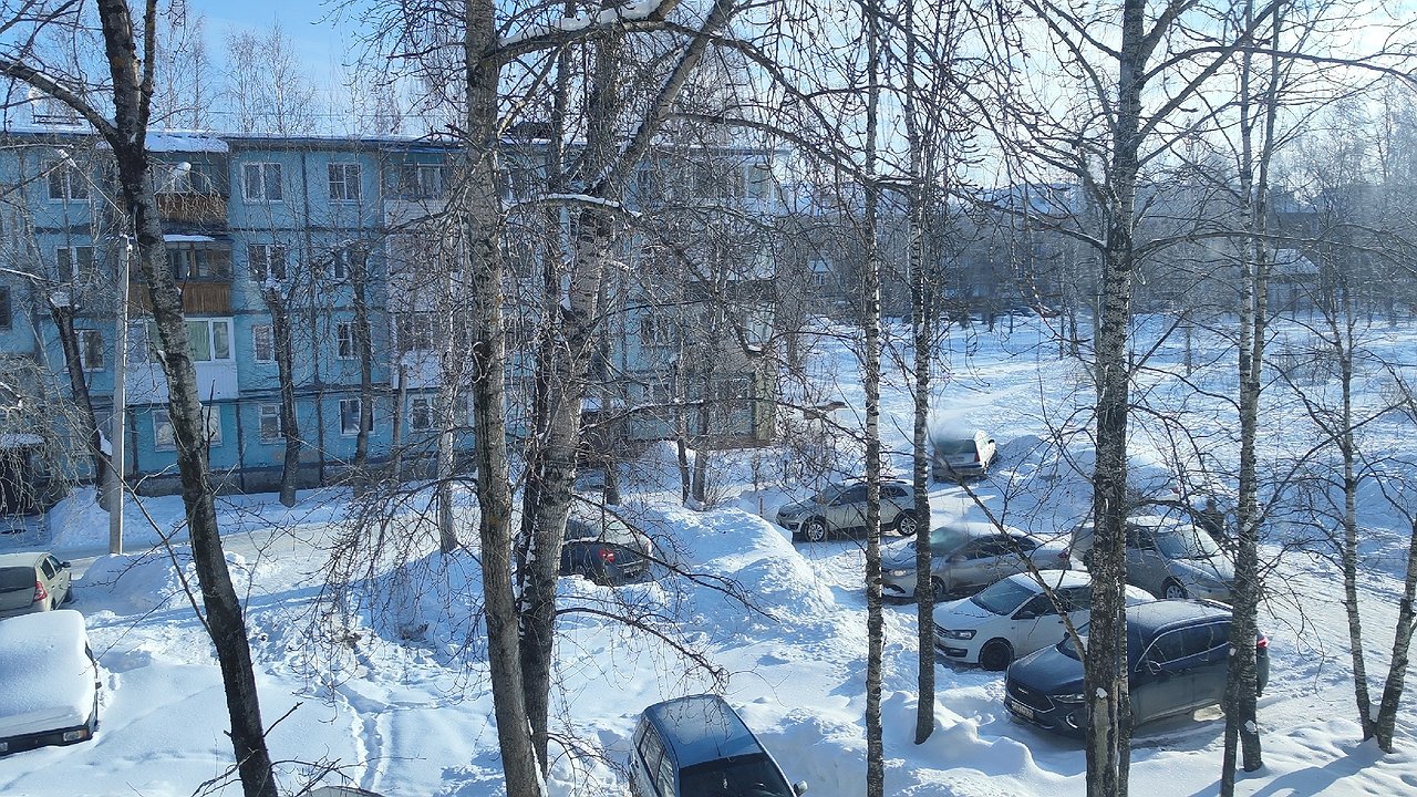 Главная картинка новости: «Начнется 15 декабря и будет две недели подряд». Синоптики дали неожиданный прогноз