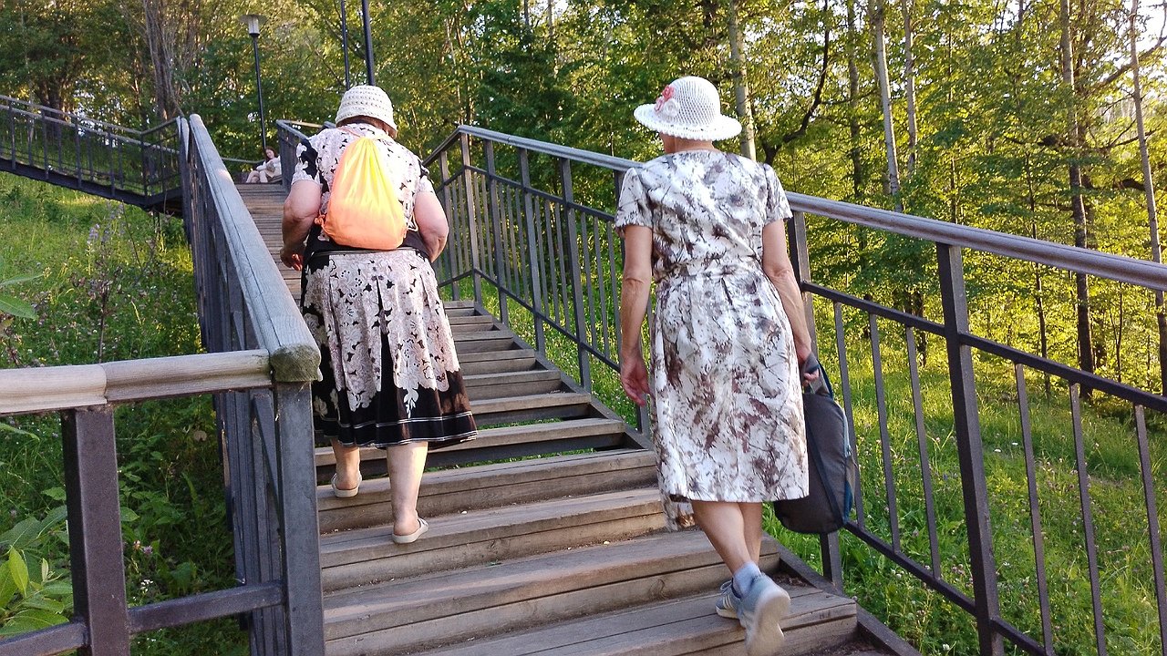 Главная картинка новости: Пенсионеров призвали оформить заявление на новую льготу. Нужно успеть до 15 декабря