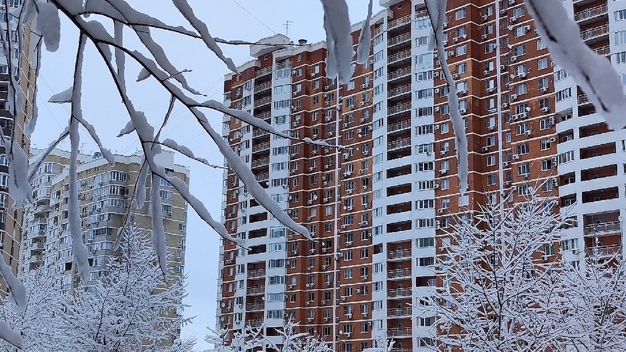 Главная картинка новости: С 16 декабря начнут лишать прав за прогрев двигателя: ГИБДД поедет по дворам