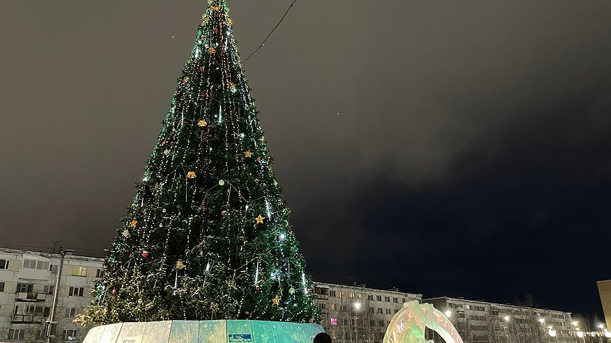 Главная картинка новости: Жительница Коми осталась без елки и украшений на Новый год из-за мошенников