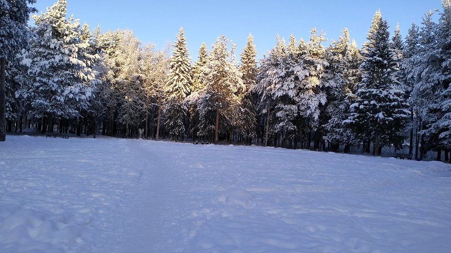 Главная картинка новости: «Январь обещает быть аномальным». Синоптики сказали, к чему готовиться