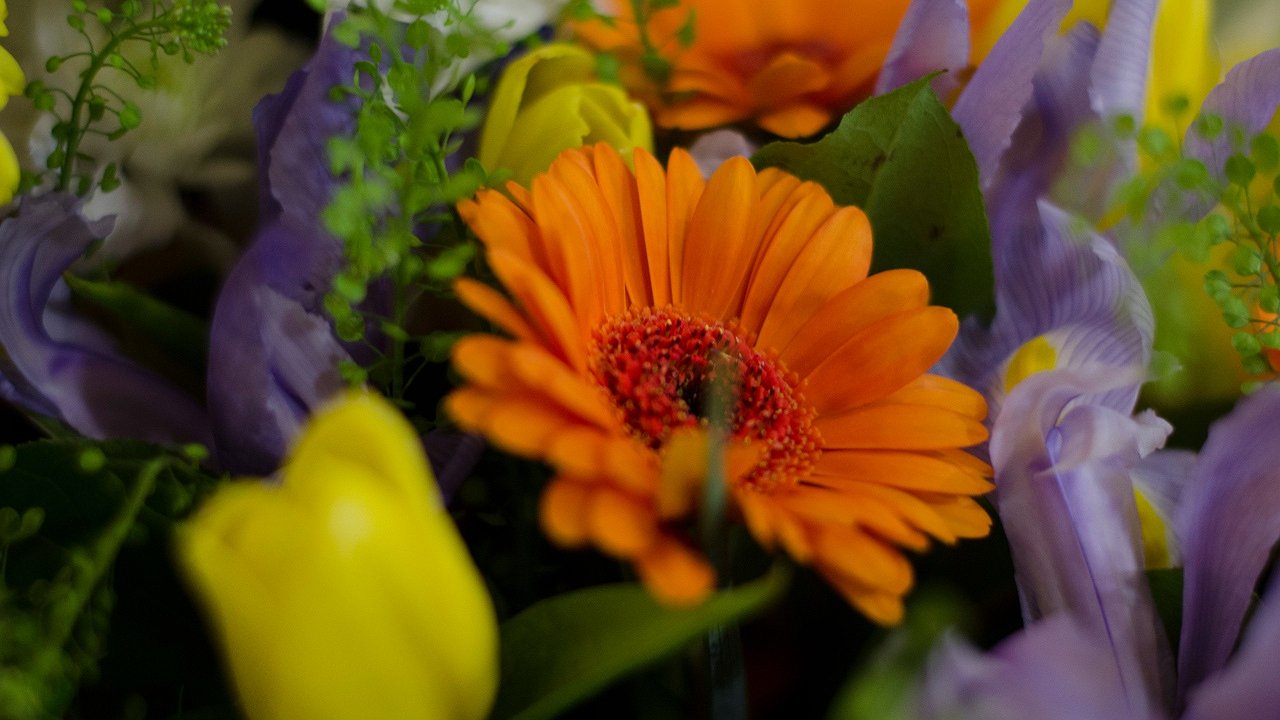 Главная картинка новости: В Усинске лучшие добровольцы города получили награды