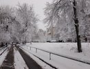 В Усинске в воскресенье ожидаются снег, метель и до минус 10 градусов