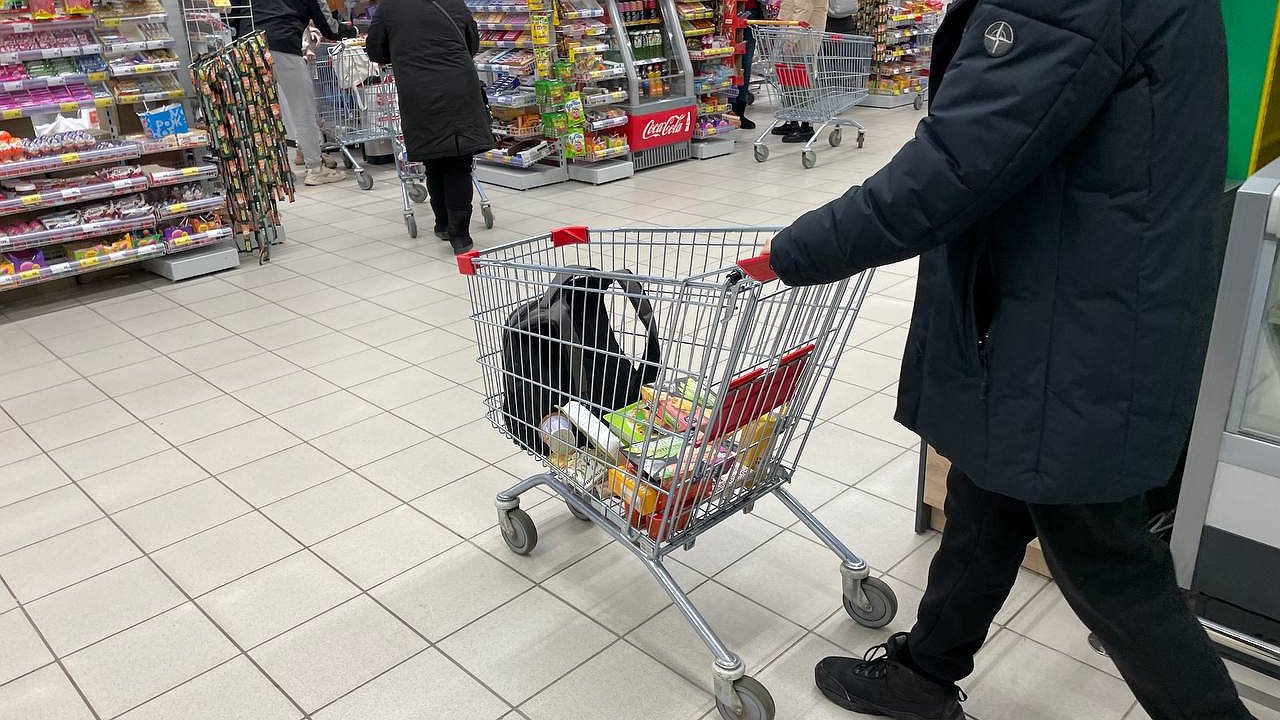 Главная картинка новости: Эти товары полностью исчезнут с полок магазинов уже после Нового года