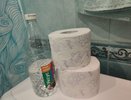 Замоченная в уксусе туалетная бумага поможет вам решить все бытовые проблемы - необычный, но эффективный лайфхак