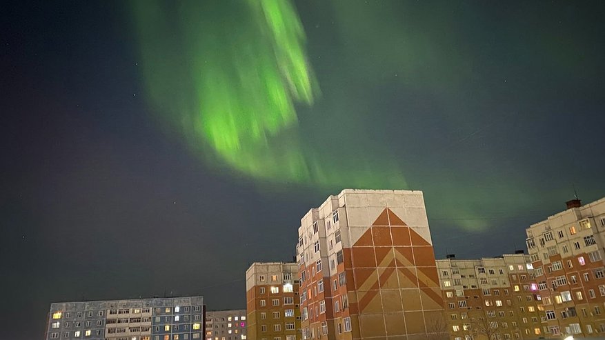 Главная картинка новости: Чтобы задобрить Зеленую Змею и стать богатым нужно поставить это на новогодний стол 2025 - ценные советы по подготовке