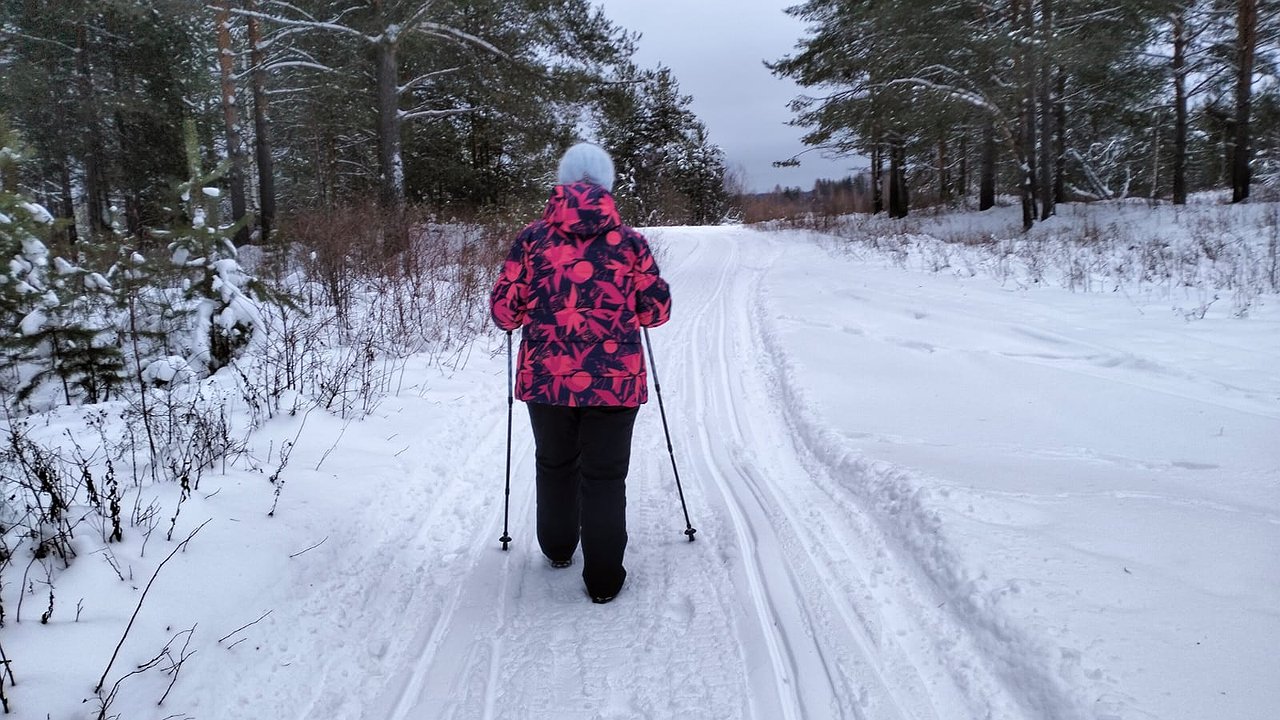 Главная картинка новости: Указ приняли тихо: пожилых россиян в возрасте от 60 до 85 лет ждут нововведения с 1 января