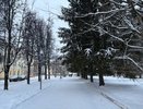 Синоптики рассказали о погоде в Коми 30 декабря