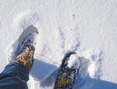 Ногам будет тепло даже в легких носках: 1 шарик на стельку зимой - греет как теплые полы