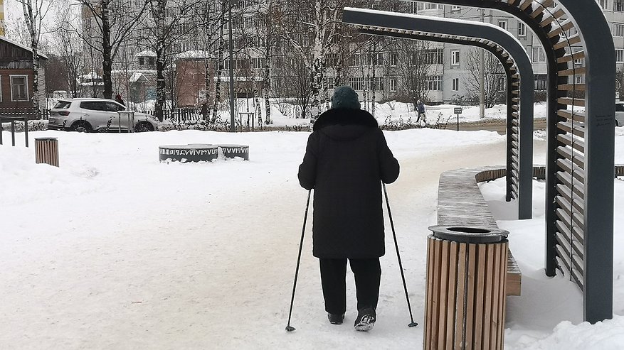 Главная картинка новости: «Придется отказаться от всех льгот с января». Пенсионерам объявили о недавно принятом решении