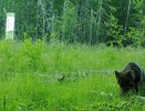 Нацпарк Койгородский в 2024 году посетили 300 туристов