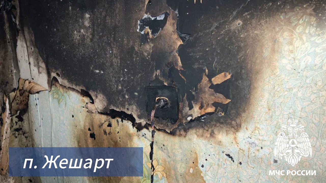 Главная картинка новости: В Коми на пожаре спасли человека