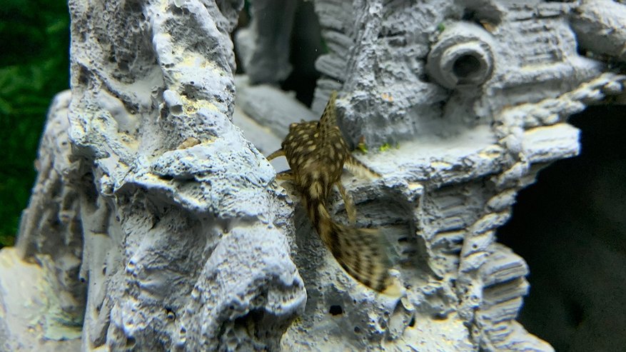 Главная картинка новости: В Коми расширили перечень рыболовных участков