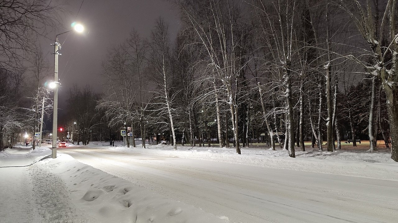 Главная картинка новости: Житель Коми подозревается в незаконной рубке деревьев в особо крупном размере