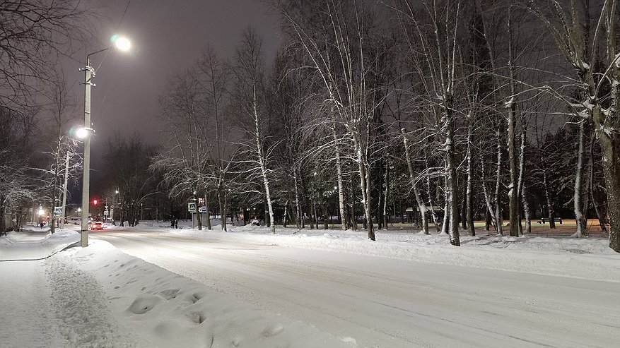 Главная картинка новости: Житель Коми подозревается в незаконной рубке деревьев в особо крупном размере