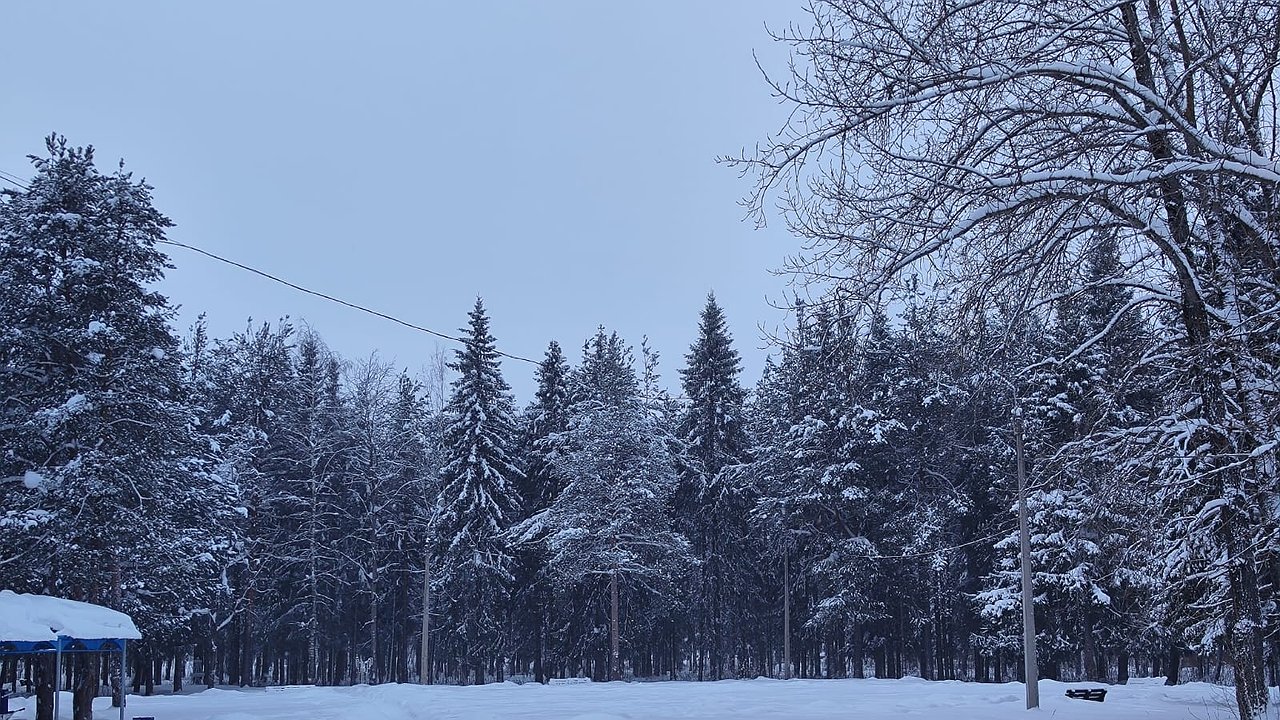 Главная картинка новости: «Поступили новые данные». Синоптики внезапно изменили прогноз на февраль