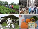 Ярмарки, конкурсы, семинары: что организует Минсельхоз Коми в 2025 году