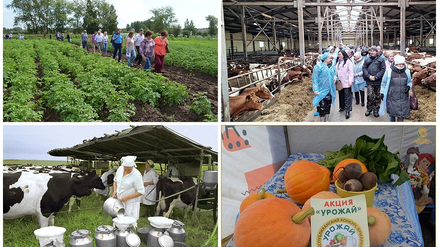 Главная картинка новости: Ярмарки, конкурсы, семинары: что организует Минсельхоз Коми в 2025 году