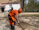 В сырьевой отрасли Коми в 2024 году зафиксировано увеличение объемов производства