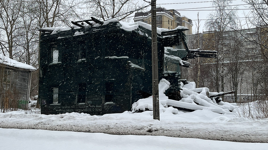 Главная картинка новости: Аномальная зима породит невыносимое лето: известные синоптики сообщили, чего ожидать в 2025 году