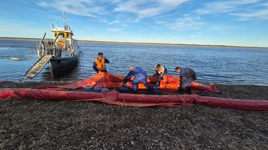 Главная картинка новости: Компания по утилизации судов на Печоре нарушила закон по охране природы