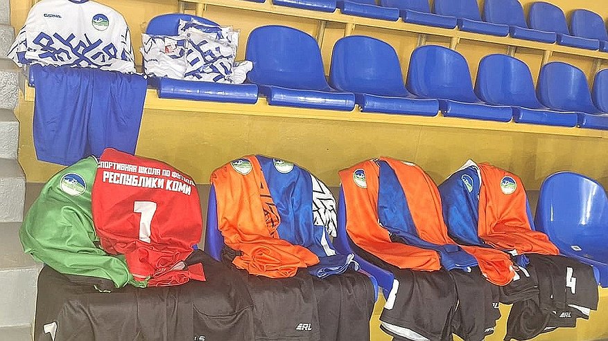 Главная картинка новости: Федеральный проект "Спорт – норма жизни" помог спортшколам Коми обновить инвентарь и оборудование