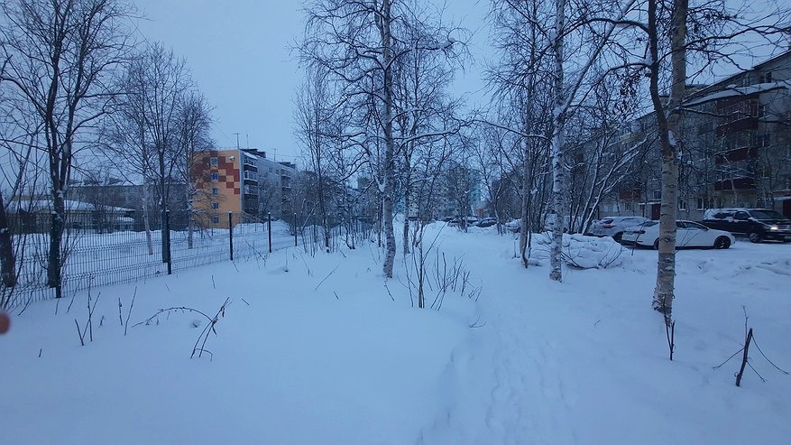 Главная картинка новости: Усинск: зимняя палитра 21 февраля – от легкой облачности до снежной дымки