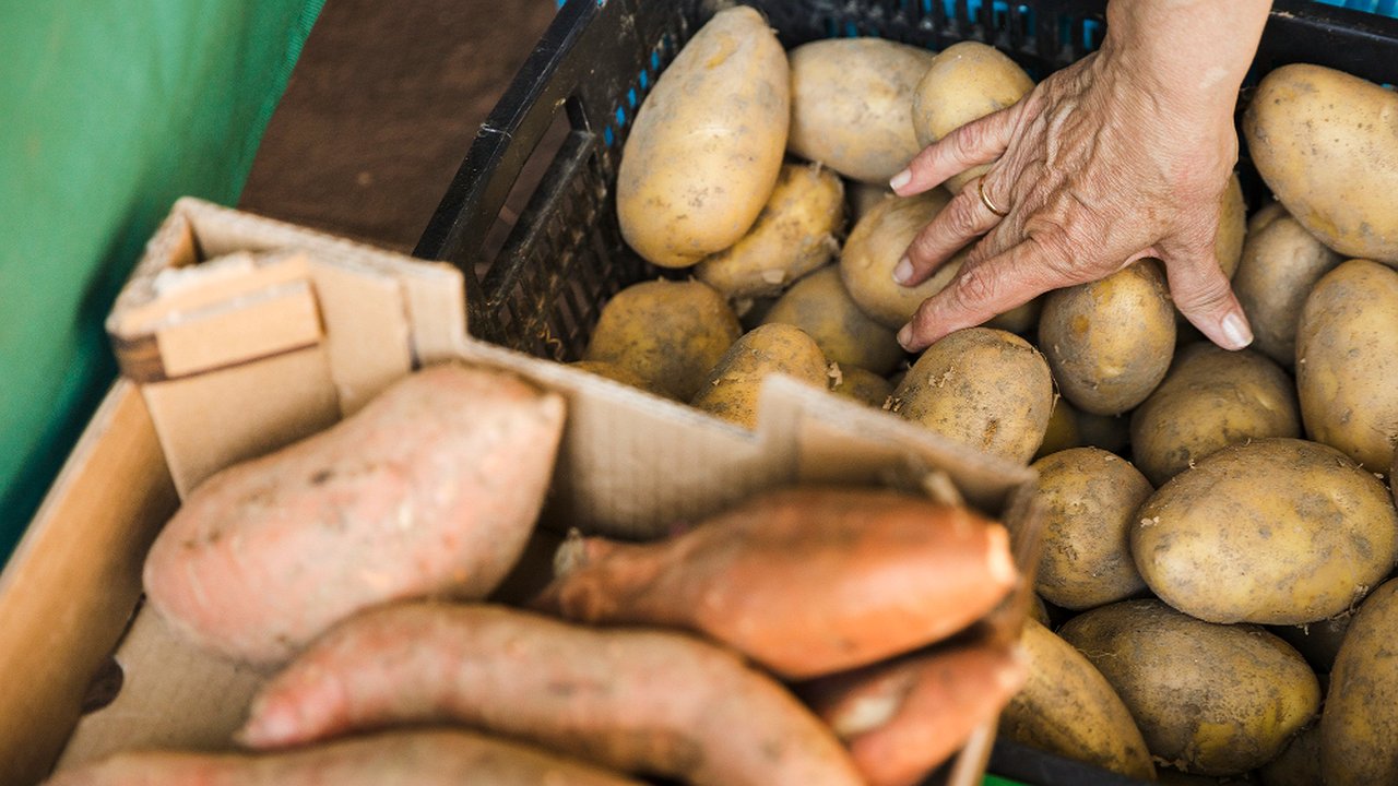 Главная картинка новости: Россияне скоро лишатся "второго хлеба": теперь за посадку картошки на даче начнут беспощадно штрафовать