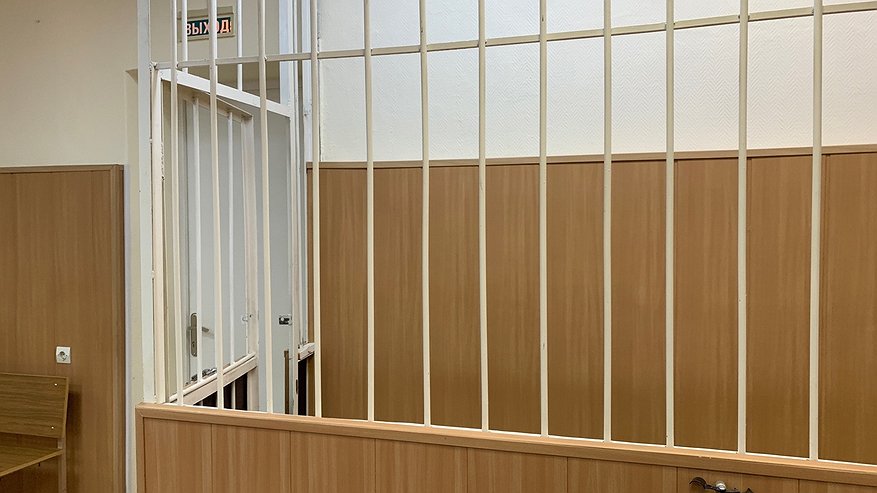 Главная картинка новости: Житель Казани задержан по обвинению в хищении 9 млн рублей у женщины из Коми