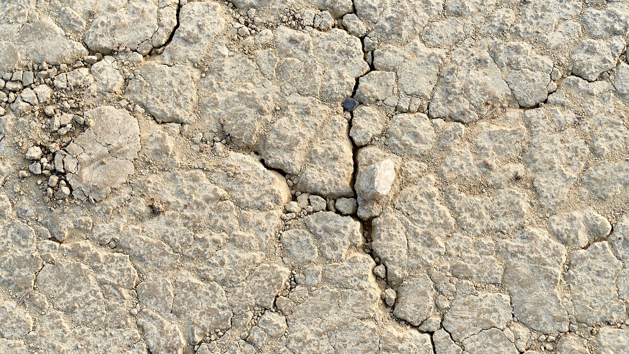 Главная картинка новости: 3 горсти под перекопку – и даже "чугунная" почва станет легче пушинки: совет опытного овощевода