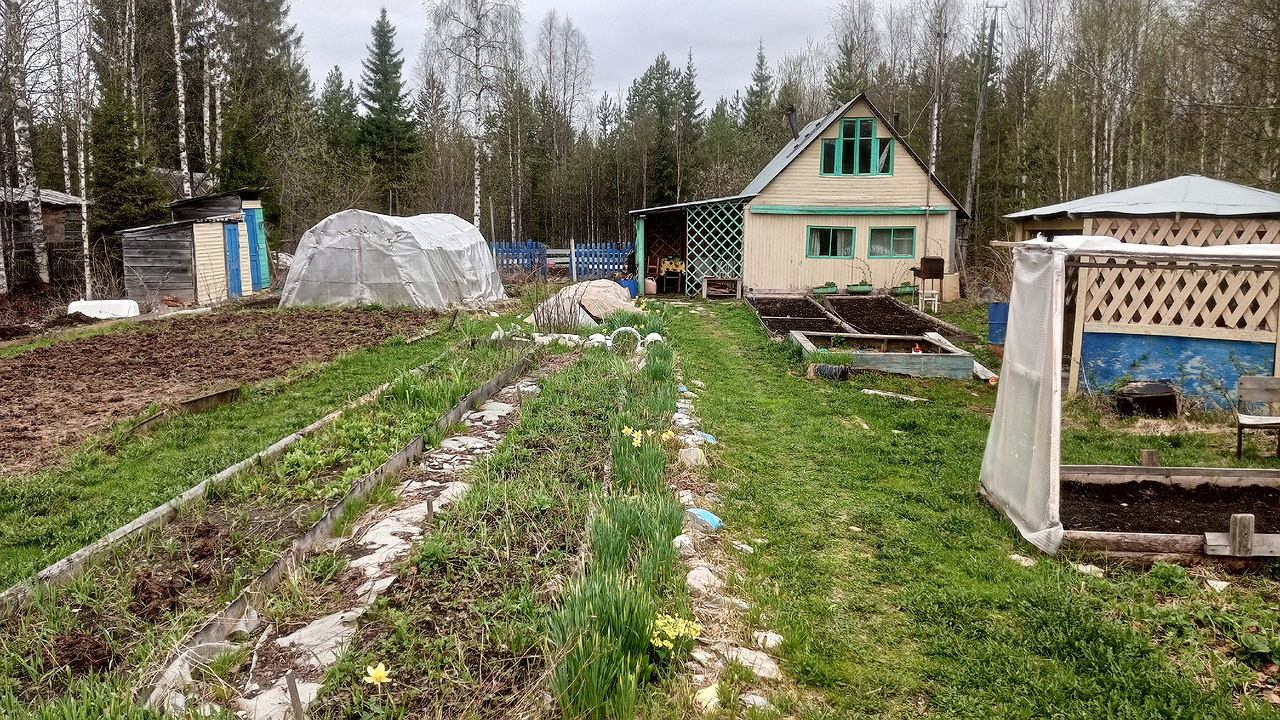 Главная картинка новости: Мартовская аномальная жара изменит сроки урожая: когда лучше сажать помидоры и картошку - подробный список дат