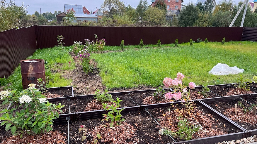 Главная картинка новости: Миска крупы вместо 10 кг навоза: бросаем прямо на снег - весной почва будет мягкой, словно пух