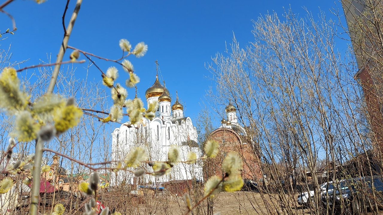 Главная картинка новости: Аномальная жара нагрянет после 19 марта: лето начнется на два месяца раньше