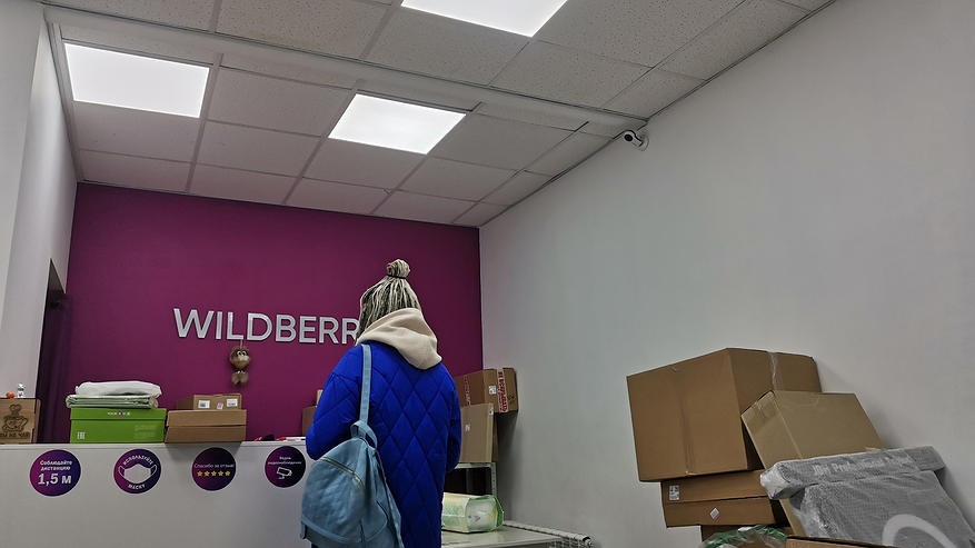 Главная картинка новости: Мы прекращаем работу c 19 марта: Wildberries и Ozon приняли судьбоносное решение для россиян