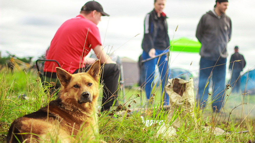 Главная картинка новости: Аномальная жара нагрянет после 21 марта: лето начнется на два месяца раньше