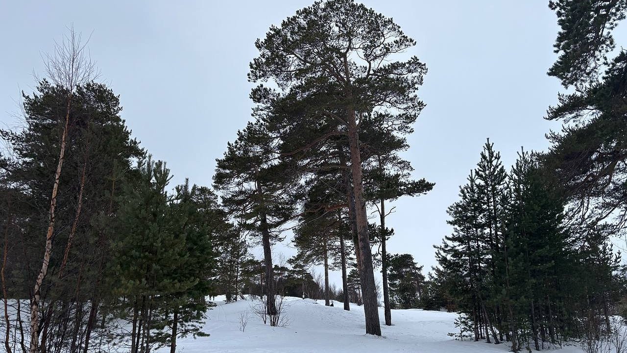 Главная картинка новости: Усинск встречает 20 марта пасмурной прохладой