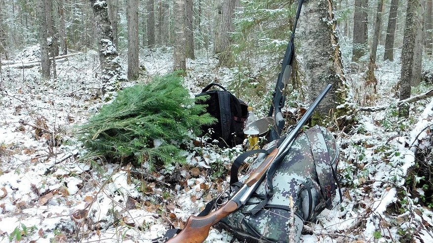 Главная картинка новости: В Коми охотник утопил ружье и пытался скрыть это от Росгвардии