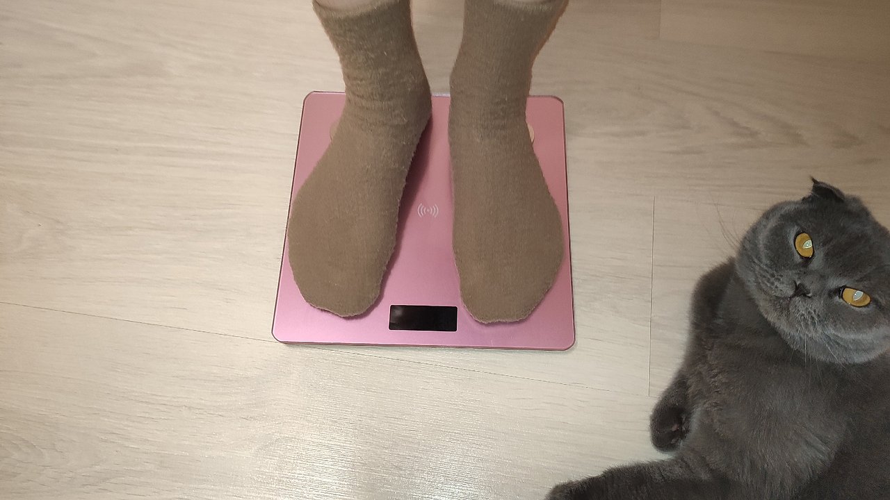 Главная картинка новости: В Коми 60 процентов жителей имеют избыток веса