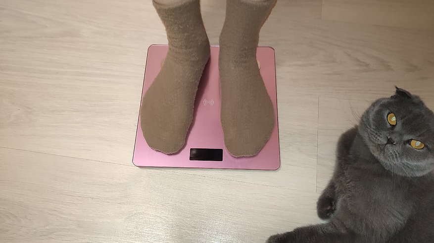 Главная картинка новости: В Коми 60 процентов жителей имеют избыток веса