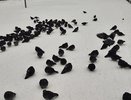 Усинск кутается в объятиях апрельского холода: прогноз на 10 апреля