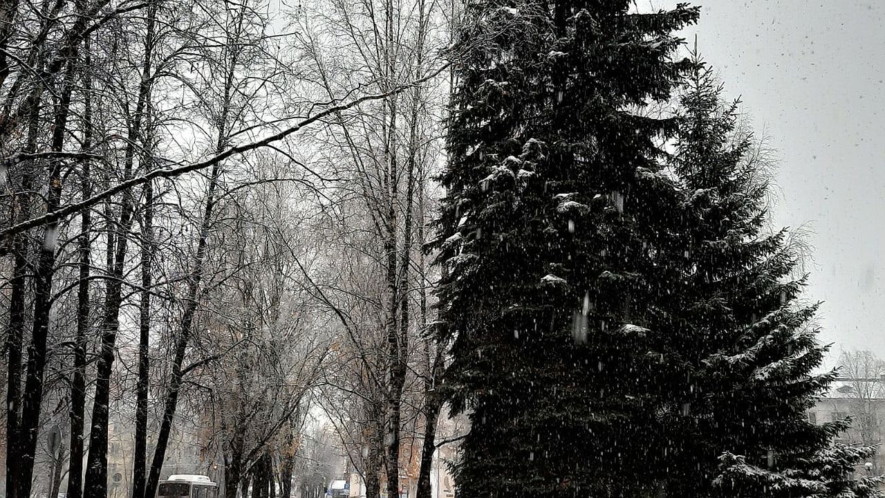 Главная картинка новости: "Температура рухнет больше чем на 20 градусов": Вильфанд дал обновленный прогноз