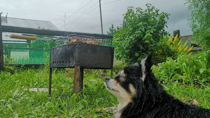 Главная картинка новости: Отдохнуть не получится: Минтруд переносит майские каникулы - выходные изменили из-за непредвиденной ситуации
